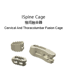 ISpine Cage 椎間融合器